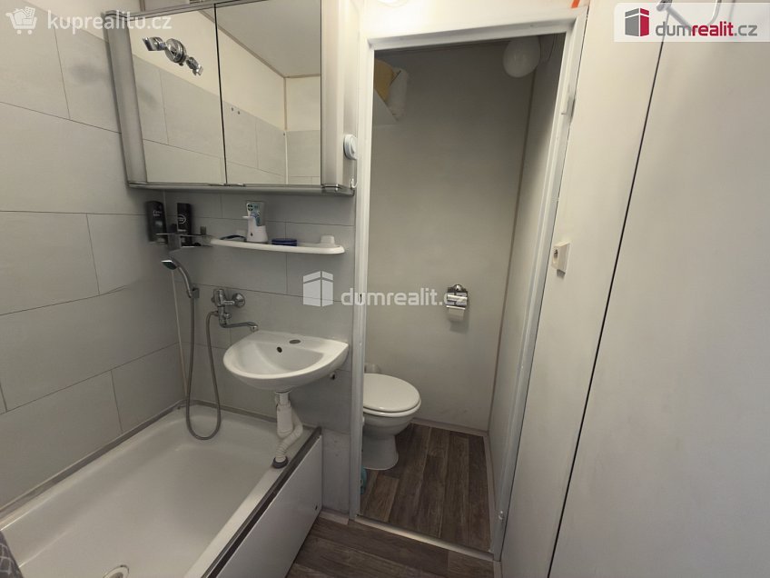 Pronájem bytu 1+1 37 m^2 Hrbovická, Chlumec 