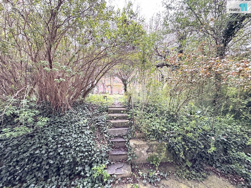 Pronájem bytu 2+kk 45 m^2 Biskupcova, Praha 3 