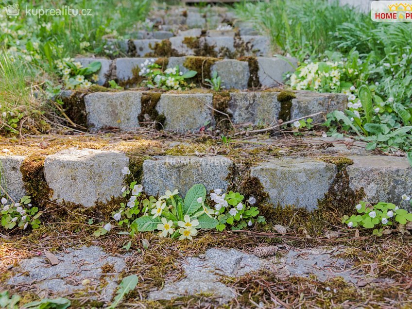 Prodej  chaty 36 m^2 Samopše, Samopše 