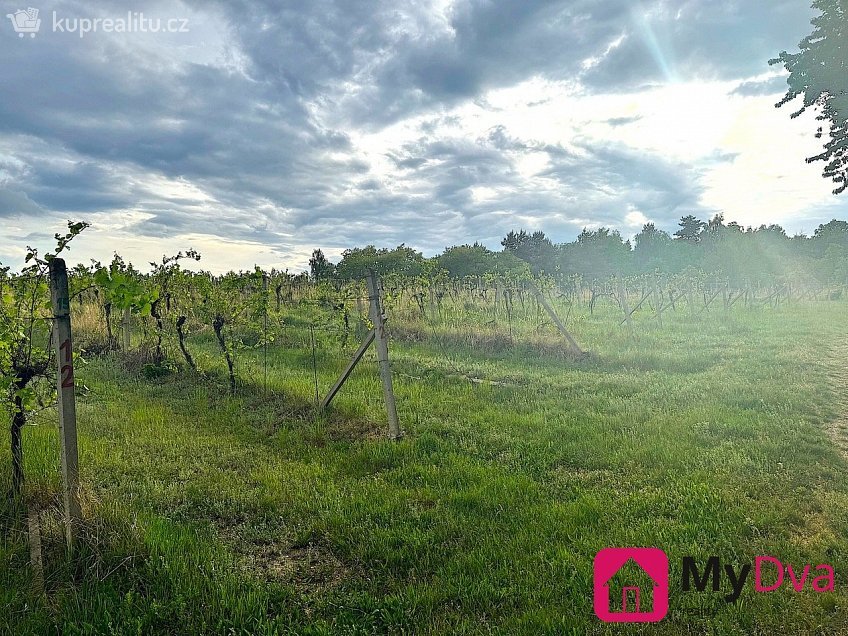 Prodej  sadů/vinic 7500 m^2 Nový Šaldorf-Sedlešovice, Nový Šaldorf-Sedlešovice 