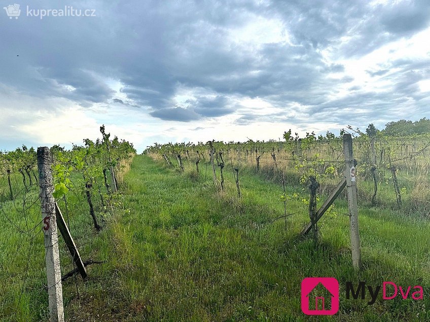 Prodej  sadů/vinic 7500 m^2 Nový Šaldorf-Sedlešovice, Nový Šaldorf-Sedlešovice 