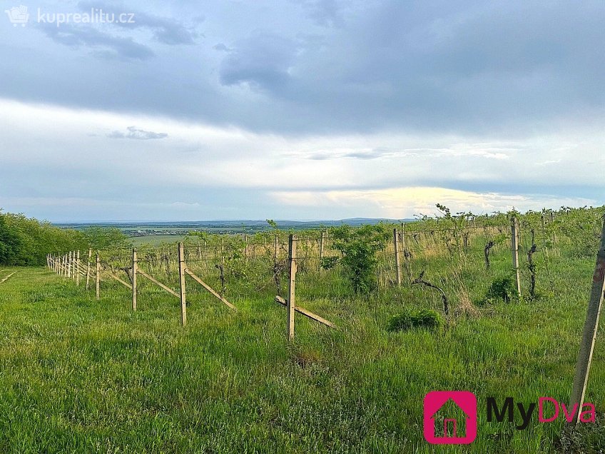 Prodej  sadů/vinic 7500 m^2 Nový Šaldorf-Sedlešovice, Nový Šaldorf-Sedlešovice 