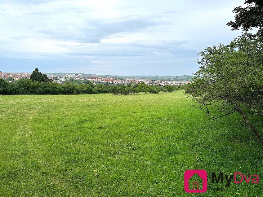 Prodej  pole 7045 m^2 Nový Šaldorf-Sedlešovice, Nový Šaldorf-Sedlešovice 