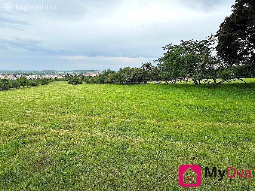 Prodej  pole 7045 m^2 Nový Šaldorf-Sedlešovice, Nový Šaldorf-Sedlešovice 