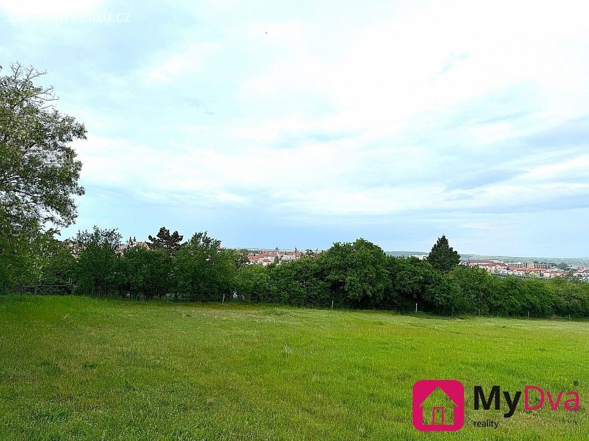 Prodej  pole 7045 m^2 Nový Šaldorf-Sedlešovice, Nový Šaldorf-Sedlešovice 