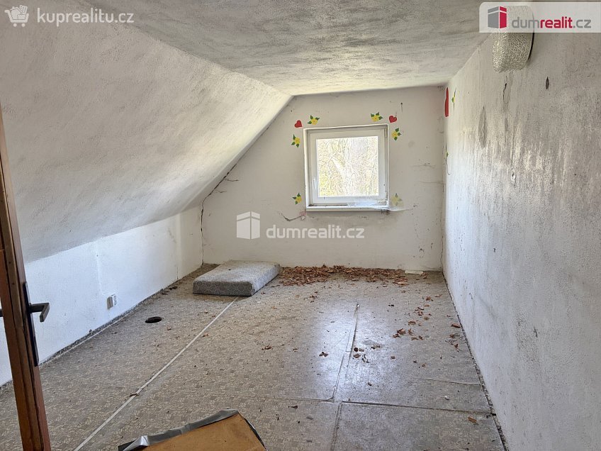 Prodej  chalupy 464 m^2 Borovnice, Borovnice 