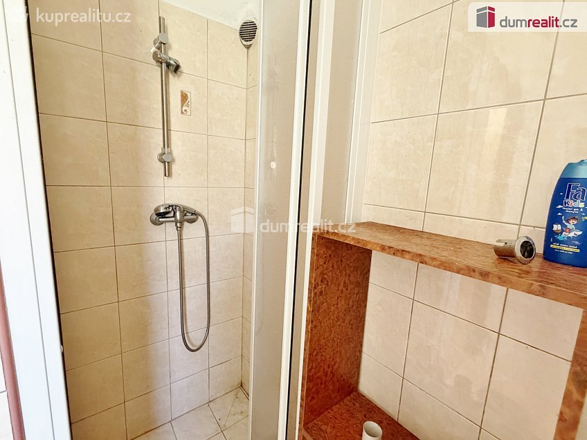 Prodej  chalupy 464 m^2 Borovnice, Borovnice 