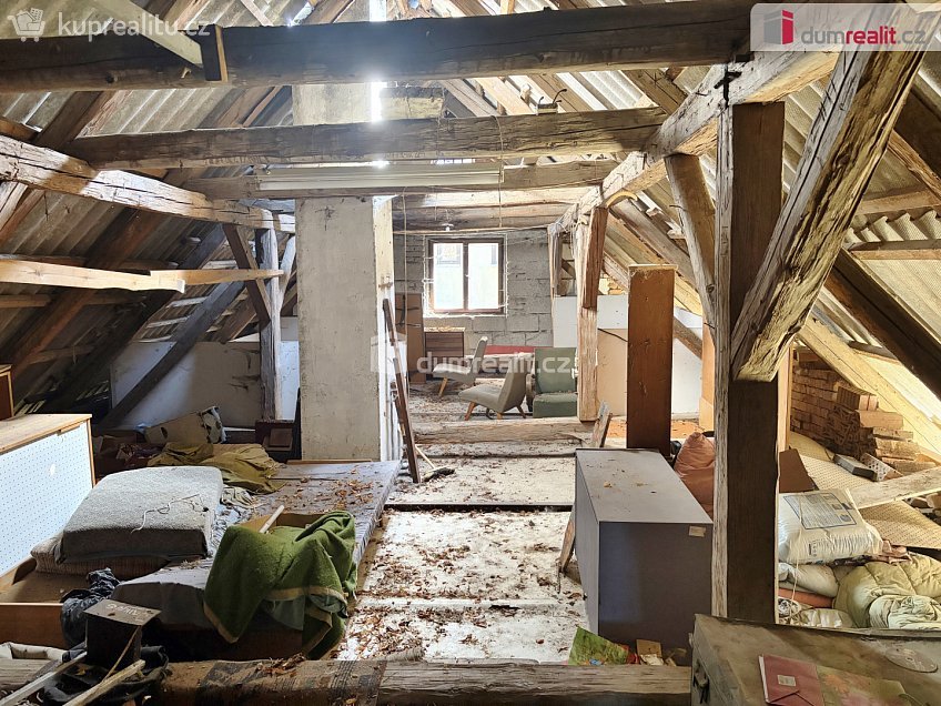 Prodej  chalupy 464 m^2 Borovnice, Borovnice 