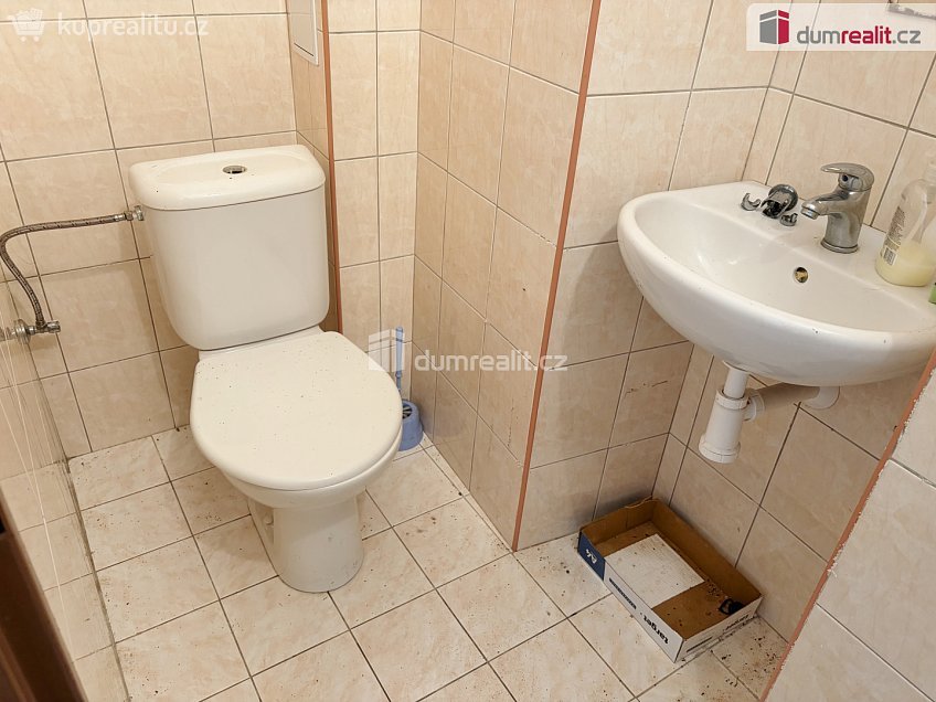 Prodej  chalupy 464 m^2 Borovnice, Borovnice 