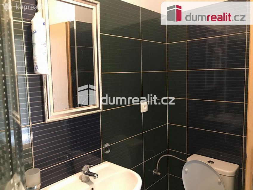 Pronájem bytu 1+1 55 m^2 Zenklova, Praha 8 