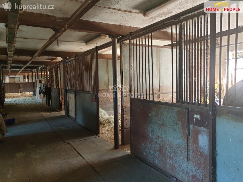 Prodej  výrobních prostor 378 m^2 Václavice, Václavice 