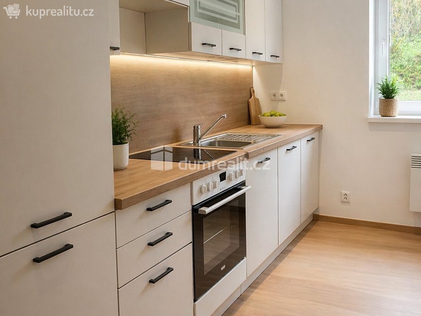 Pronájem bytu 1+1 65 m^2 Františkov nad Ploučnicí, Františkov nad Ploučnicí 