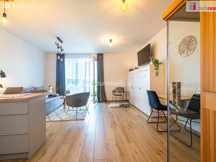 Prodej bytu 1+kk 47 m^2 Frymburk, Frymburk 