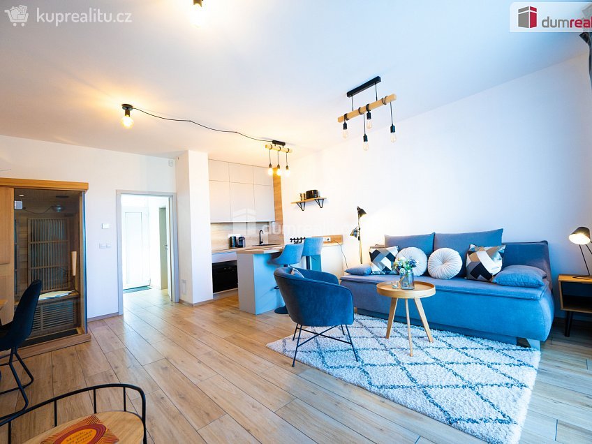 Prodej bytu 1+kk 47 m^2 Frymburk, Frymburk 