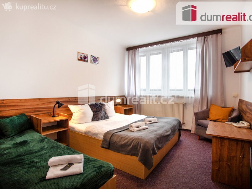 Prodej  ubytovacího zařízení 1320 m^2 Horní Planá, Horní Planá 