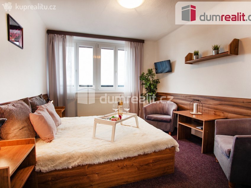 Prodej  ubytovacího zařízení 1320 m^2 Horní Planá, Horní Planá 