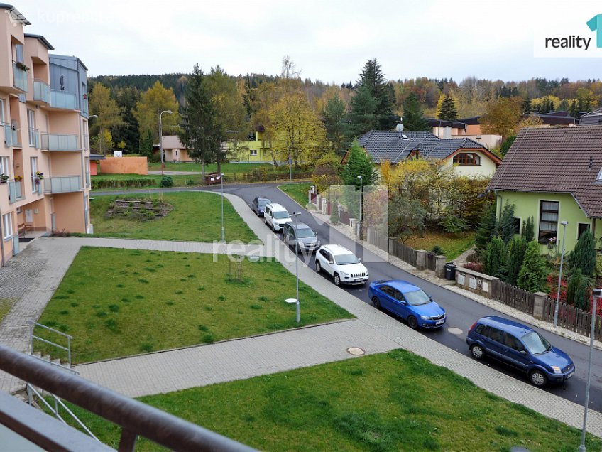 Pronájem bytu 1+1 50 m^2 Spálená, Karlovy Vary 