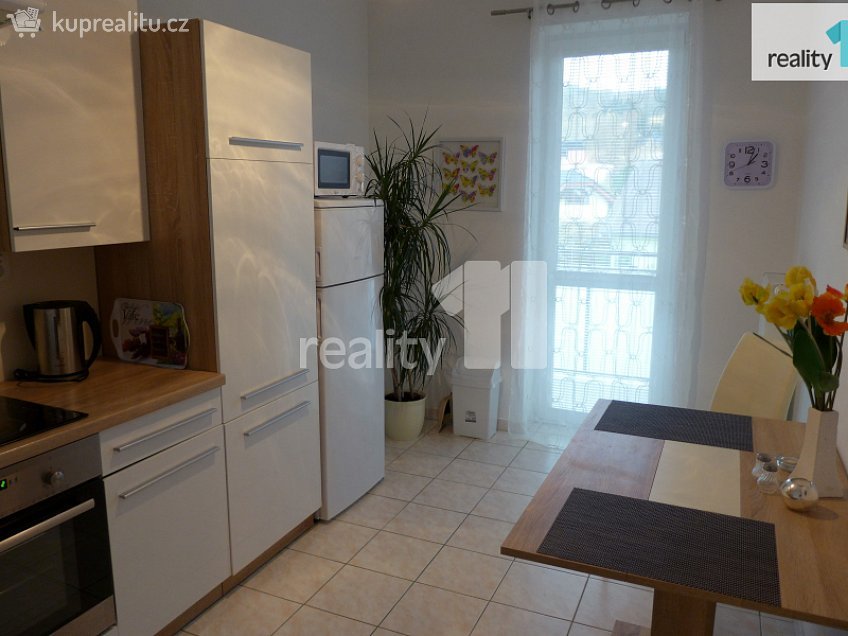 Pronájem bytu 1+1 50 m^2 Spálená, Karlovy Vary 