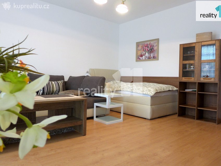 Pronájem bytu 1+1 50 m^2 Spálená, Karlovy Vary 