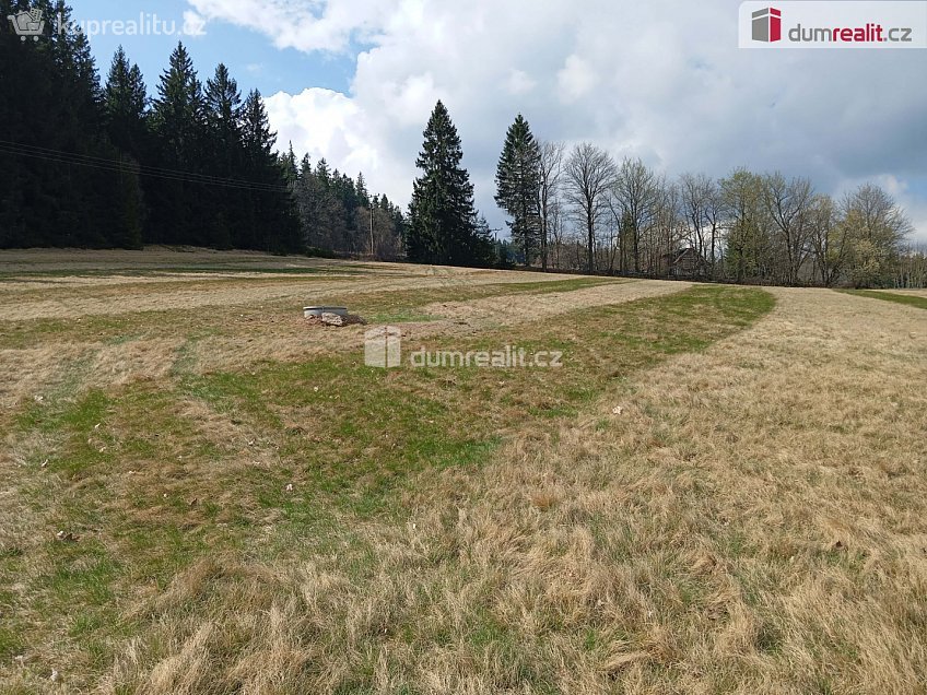 Prodej  stavebního pozemku 6036 m^2 Zdíkov, Zdíkov 