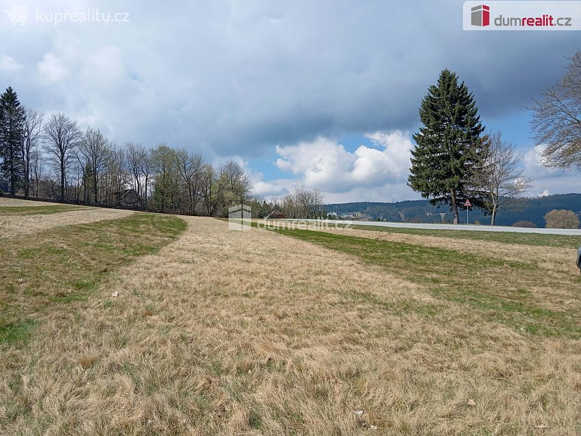 Prodej  stavebního pozemku 6036 m^2 Zdíkov, Zdíkov 