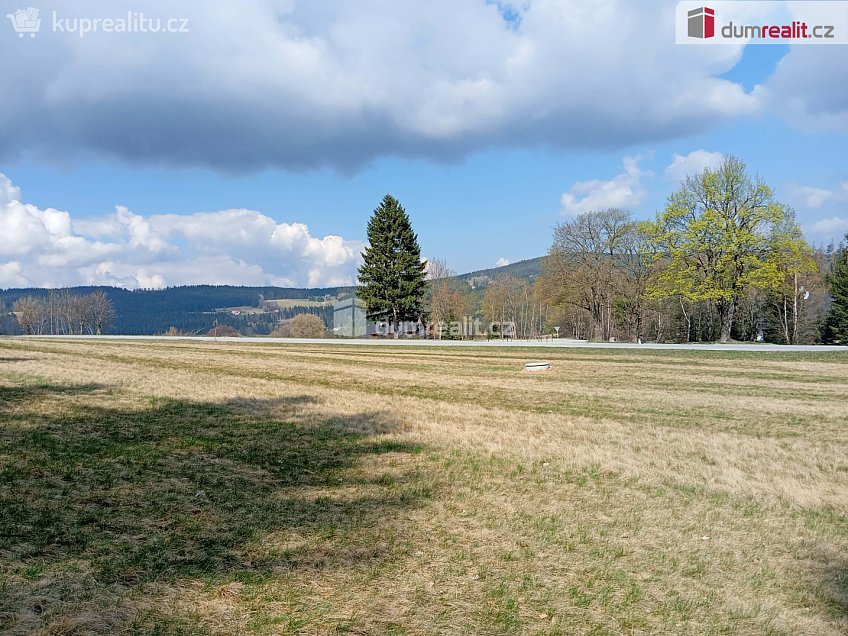 Prodej  stavebního pozemku 6036 m^2 Zdíkov, Zdíkov 