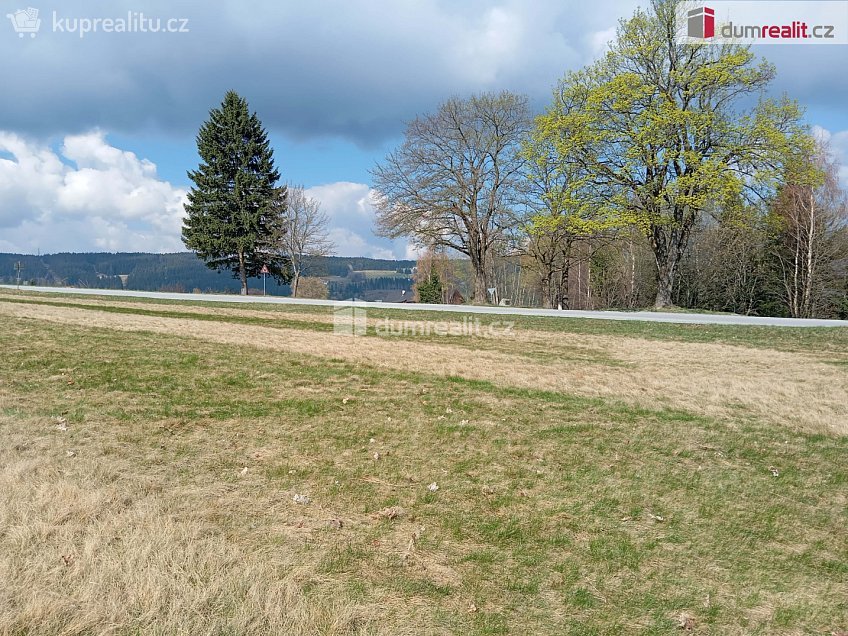 Prodej  stavebního pozemku 6036 m^2 Zdíkov, Zdíkov 