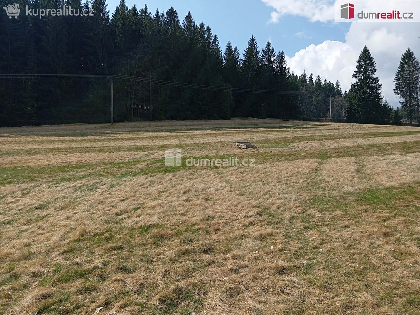 Prodej  stavebního pozemku 6036 m^2 Zdíkov, Zdíkov 