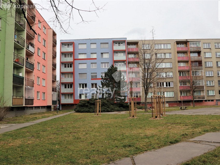 Prodej bytu 2+1 63 m^2 Arbesova, Ostrava 