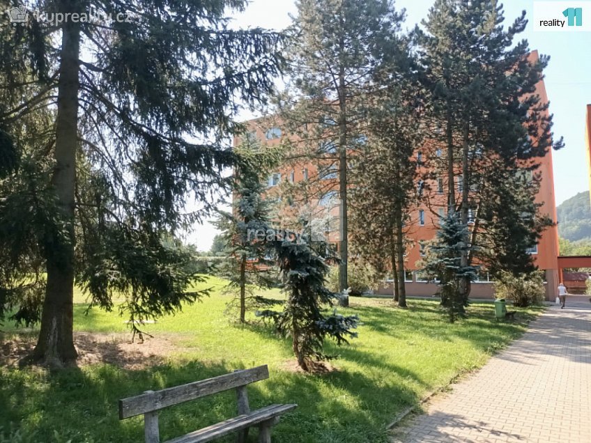 Pronájem bytu 2+kk 36 m^2 Sadová, Nový Bor 