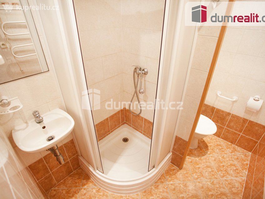 Pronájem bytu 1+1 38 m^2 J. Plachty, České Budějovice 