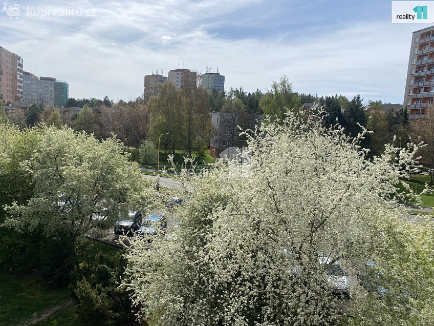 Pronájem bytu 1+1 47 m^2 Gen. Kholla, Příbram 