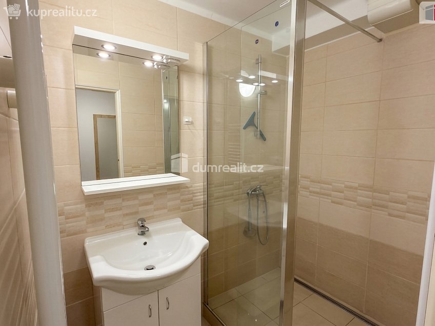 Pronájem bytu 1+1 40 m^2 Mlýnská, Kolín 