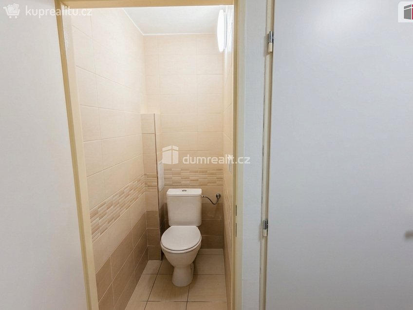 Pronájem bytu 1+1 40 m^2 Mlýnská, Kolín 