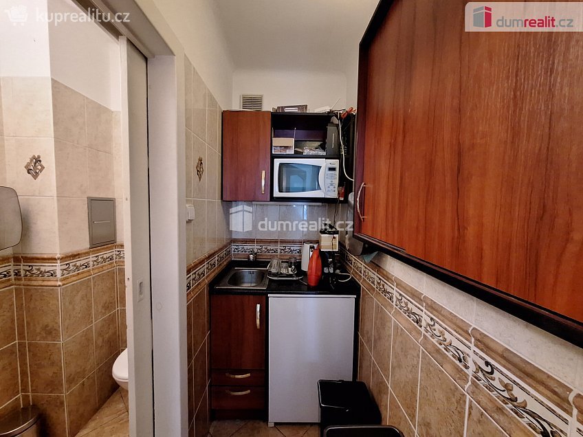 Pronájem  kanceláře 51 m^2 Bubenečská, Praha 6 