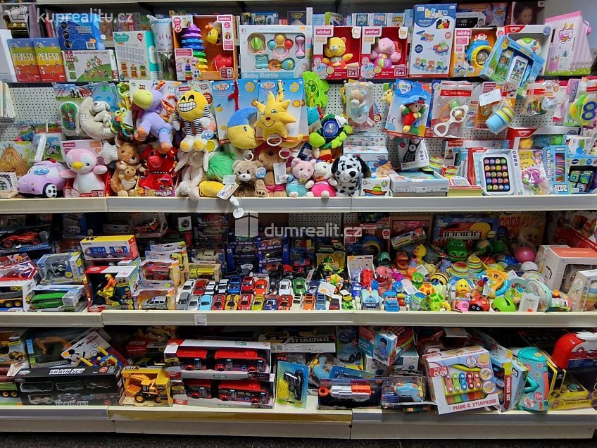 Pronájem  komerční reality 43 m^2 náměstí Míru, Zruč nad Sázavou 