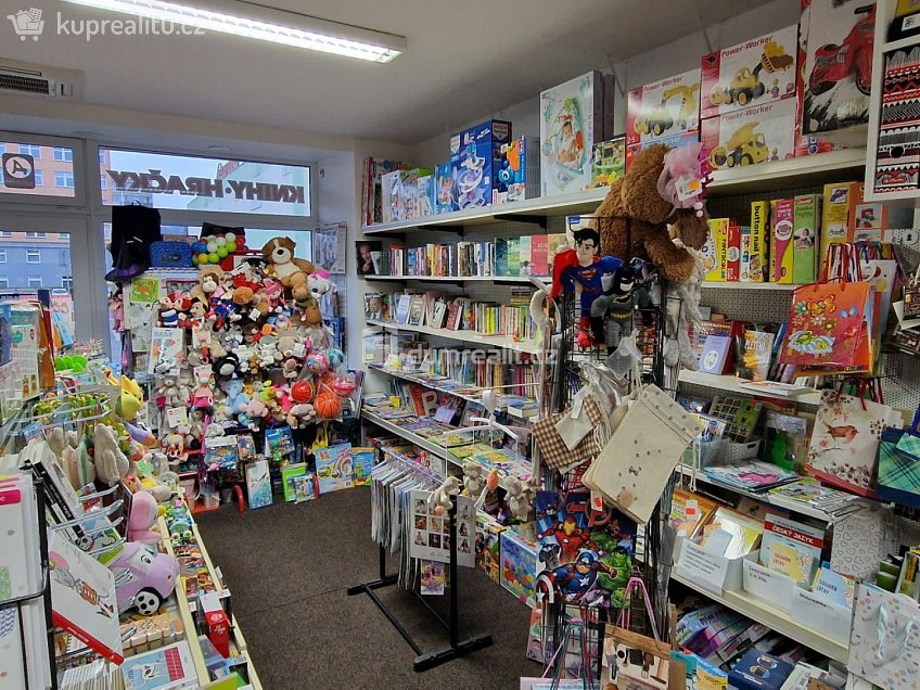 Pronájem  komerční reality 43 m^2 náměstí Míru, Zruč nad Sázavou 