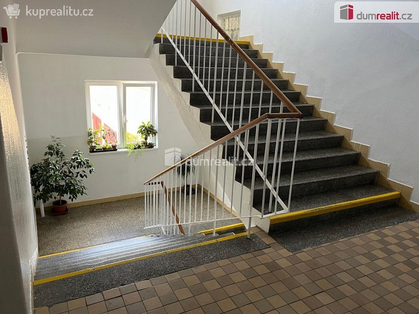 Pronájem  komerční reality 31 m^2 Na Zlaté stoce, České Budějovice 