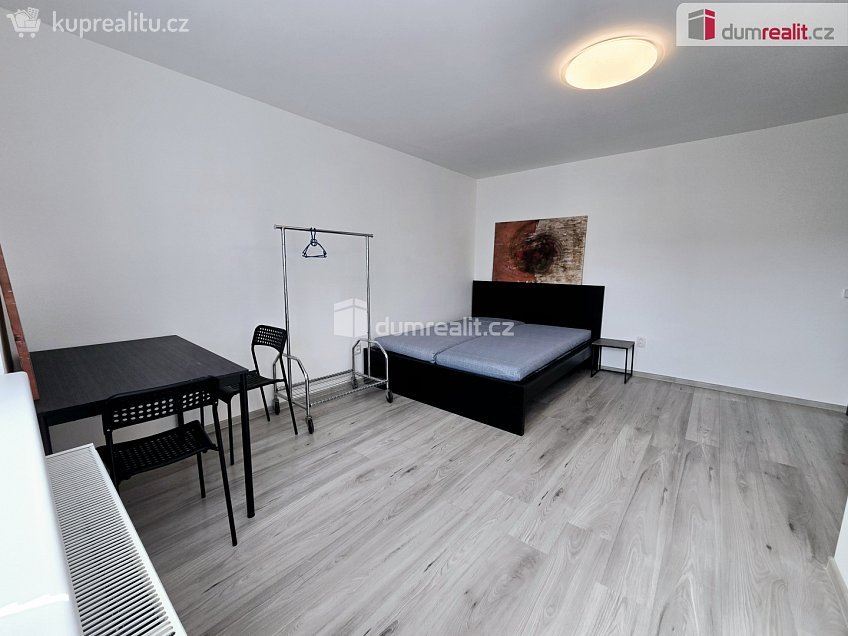 Pronájem bytu 1+kk 22 m^2 Nová, Lužná 