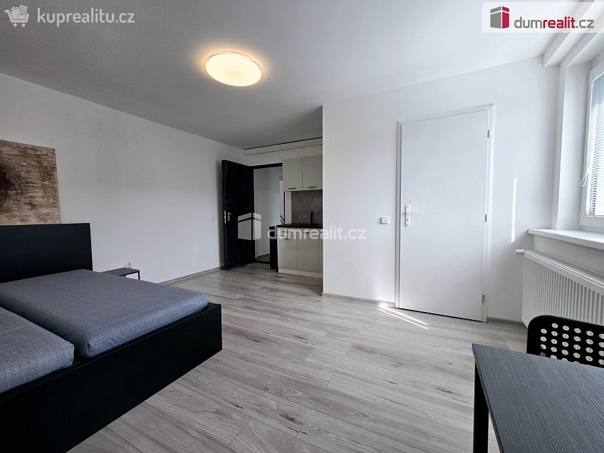 Pronájem bytu 1+kk 22 m^2 Nová, Lužná 