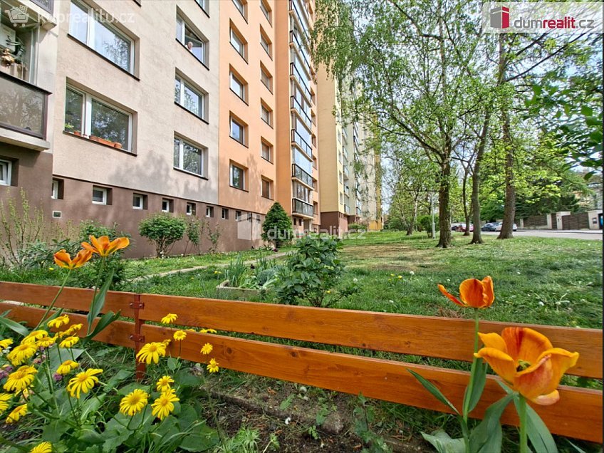 Pronájem bytu 1+kk 34 m^2 Písnická, Praha 12 