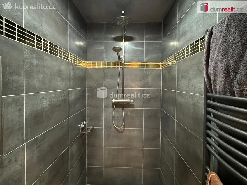 Pronájem bytu 2+kk 62 m^2 Mánesova, Praha 2 