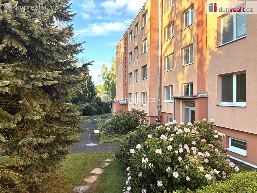 Pronájem bytu 1+kk 33 m^2 Sídliště II, Kamenice 