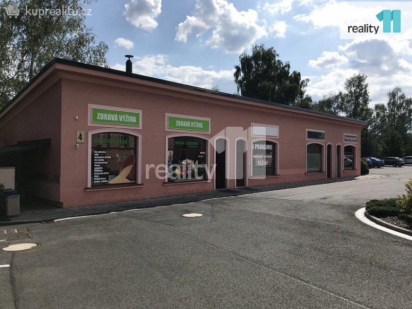 Pronájem  obchodních prostor 49 m^2 Chebská, Karlovy Vary 