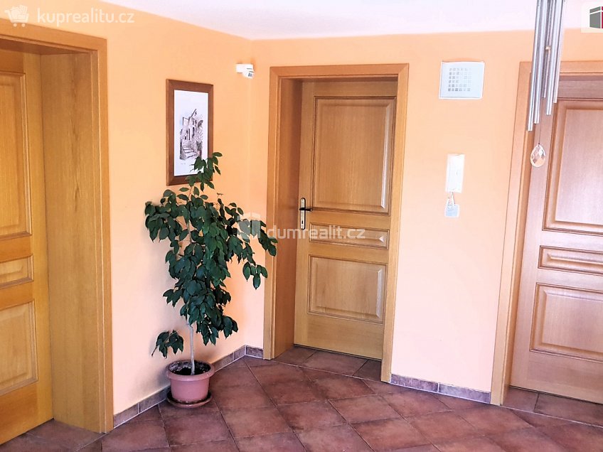 Prodej  rodinného domu 303 m^2 Plucárna, Hodonín 