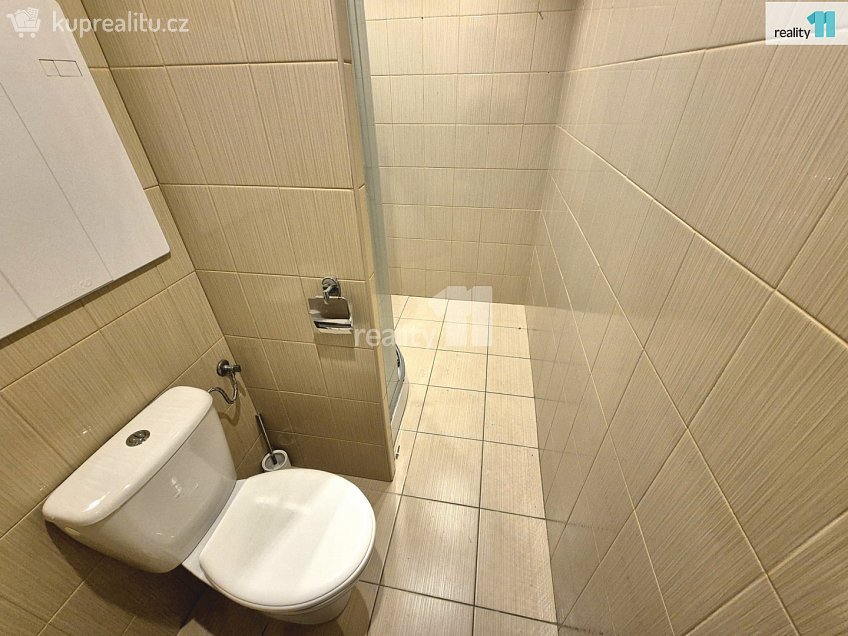Pronájem bytu 2+1 55 m^2 Karlova, Aš 