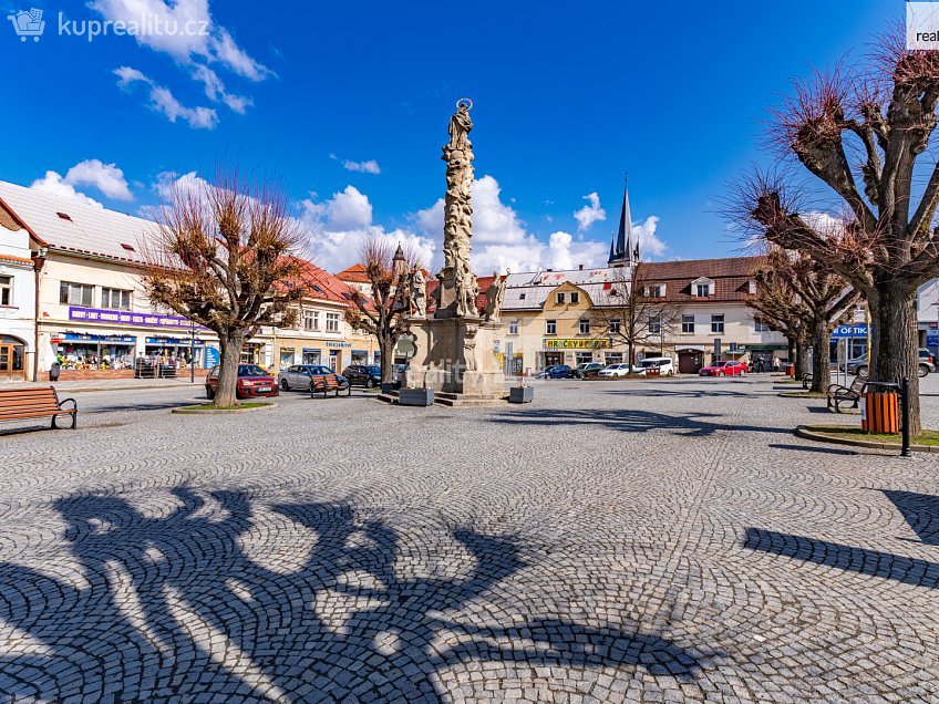 Prodej bytu 2+1 47 m^2 Na Sibiři, Ledeč nad Sázavou 