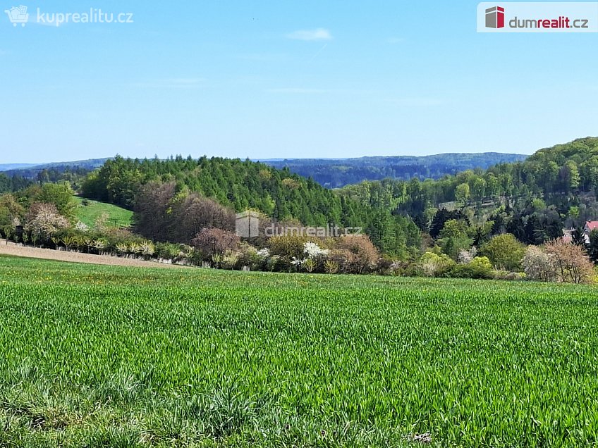 Prodej  chaty 95 m^2 Černé Voděrady, Černé Voděrady 