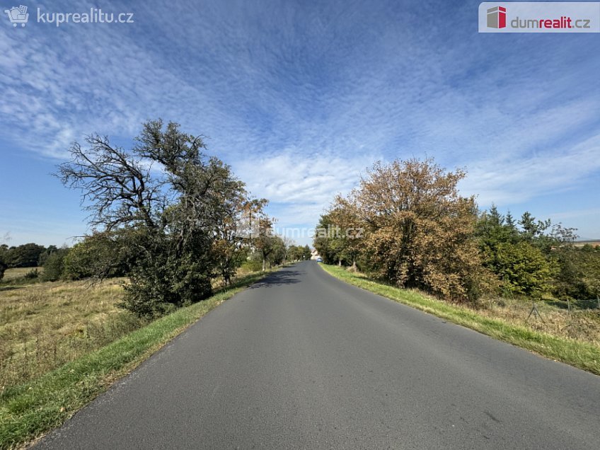 Prodej  stavebního pozemku 4621 m^2 Údlice, Údlice 