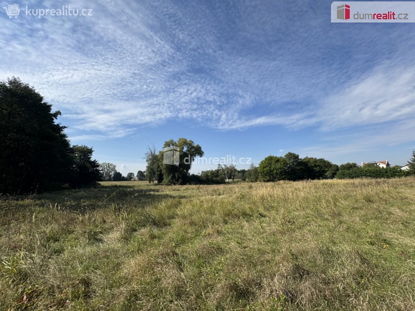 Prodej  stavebního pozemku 4621 m^2 Údlice, Údlice 